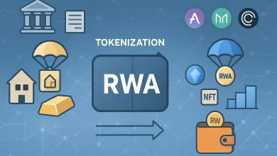 RWA Nedir?
