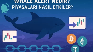 Whale Alert Nedir? Piyasaları Nasıl Etkiler?