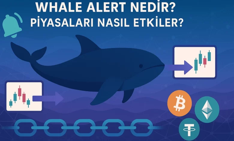 Whale Alert Nedir? Piyasaları Nasıl Etkiler?