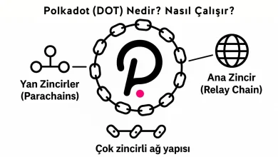 Polkadot (DOT) Nedir? Nasıl Çalışır?
