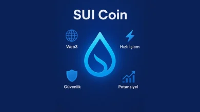 SUI Nedir? SUI Coin Geleceği Nasıl?