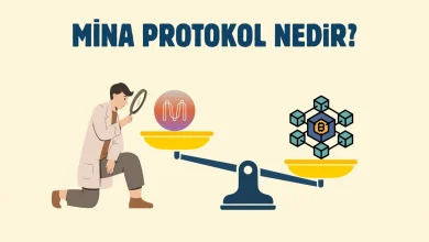 Mina Protocol (MINA) Nedir?