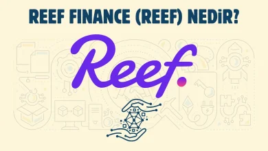 Reef Finance (REEF) Nedir?