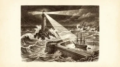 borsada-risk-yonetimi