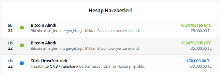 Katıldığım İlk Bitcoin Rallisi ve Bir Rallinin Anatomisi Bitcoin Rallisi - İlk Sinyal