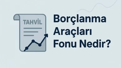 Borçlanma Araçları Fonu Nedir?