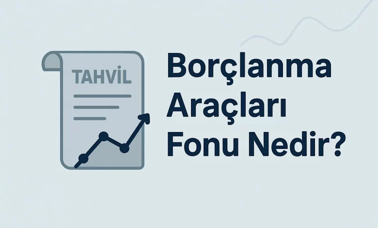 Borçlanma Araçları Fonu Nedir?
