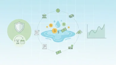 B Tipi Yatırım Fonu Nedir?